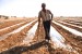 A man stands in a farm field that he is preparing for irrigation and crops during the dry summers along the Jordan River in Palestine.