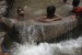 boys swim in a cistern formed by the falaj that supplies water to Misfat, Oman.